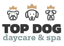 top dog