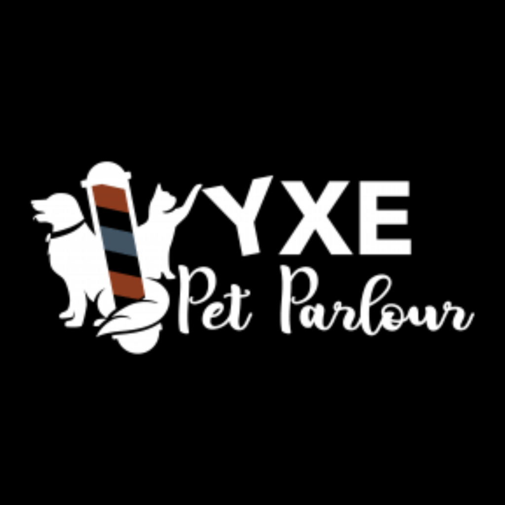 YXE Dog Parlour