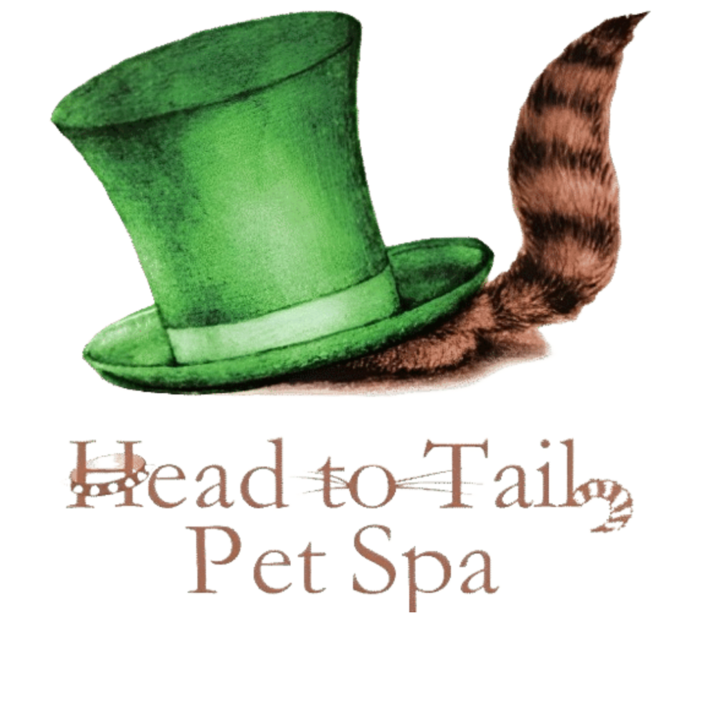 head to tail spa