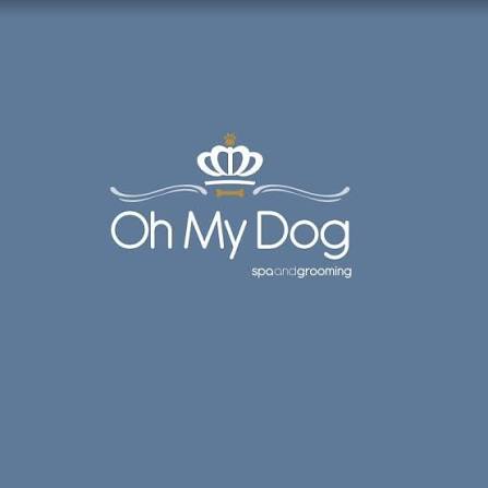 oh my dog