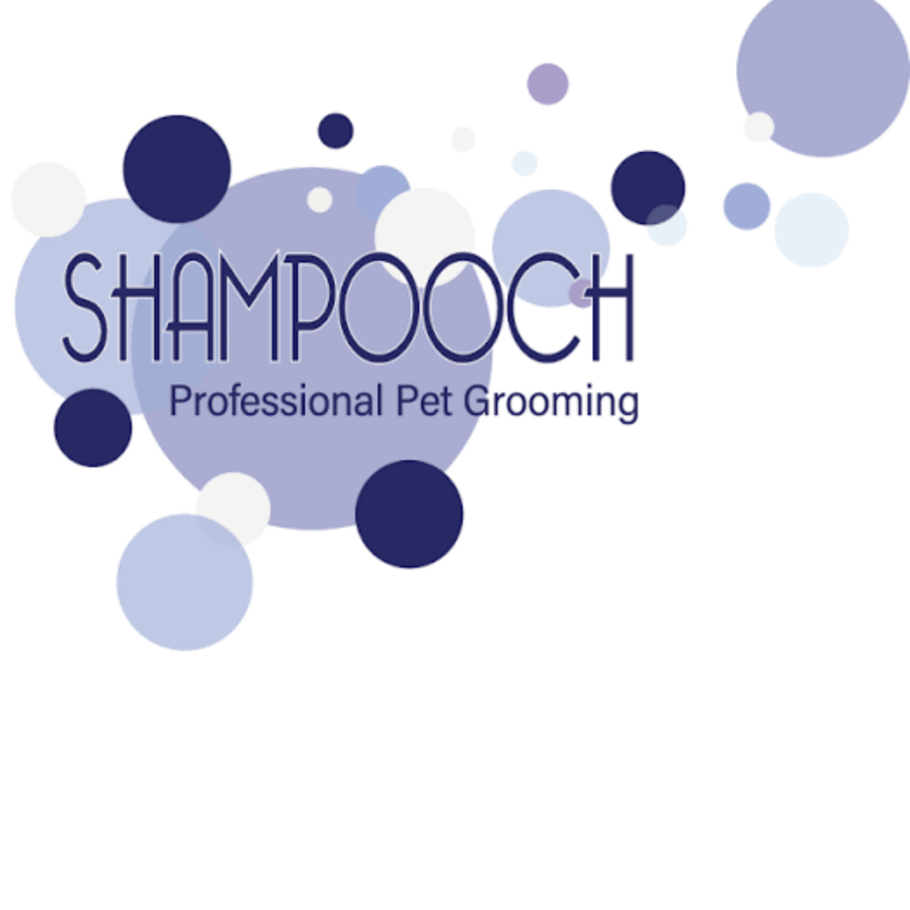 shampooch pet grooming